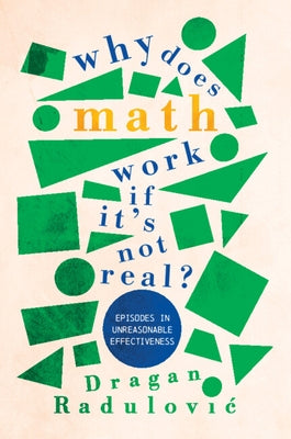 Paperback book titled "Why Does Math Work ... If It's Not Real?" by Cambridge University Press, showing the cover with title text.