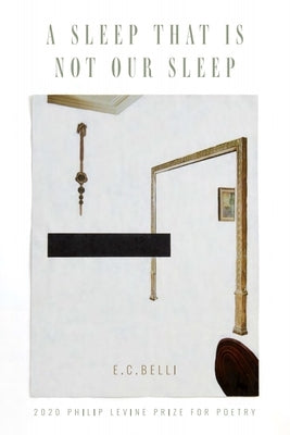 A Sleep That Is Not Our Sleep Paperback Anhinga Press