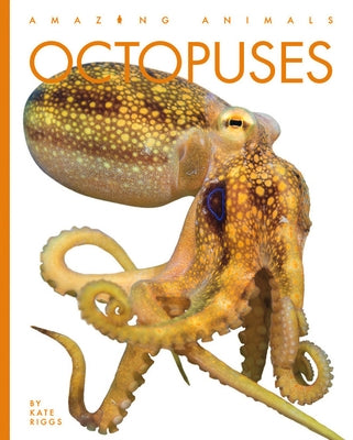 Octopuses Paperback Creative Paperbacks
