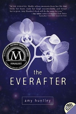 The Everafter Paperback Balzer & Bray/Harperteen