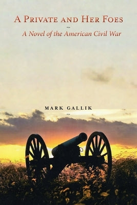 A Private and Her Foes: A Novel of the American Civil War by Gallik, Mark