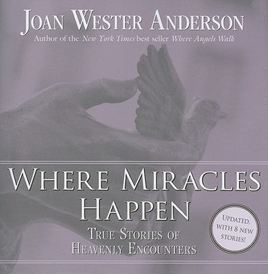Where Miracles Happen: True Stories of Heavenly Encounters Paperback Loyola Press