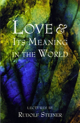 Love and Its Meaning in the World Paperback Steiner Books