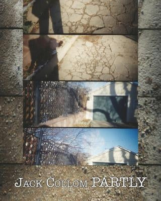 Partly: Selected Poems: 1954-2016 Paperback Spuyten Duyvil