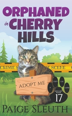 Orphaned in Cherry Hills Paperback Marla Bradeen