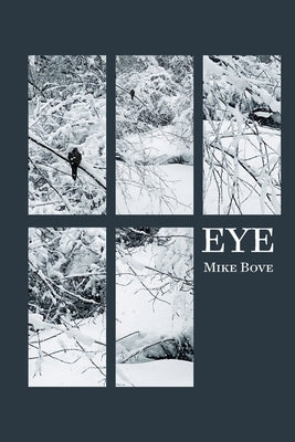 Eye Paperback Spuyten Duyvil