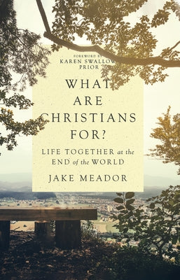 What Are Christians For?: Life Together at the End of the World by Meador, Jake