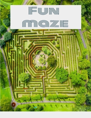 Maze Book - Easy to Moderate to Challenging Puzzles: Maze Puzzle Book - Easy to Moderate to Challenging Puzzles: with answers Maze Book Puzzlers for A Paperback Independently Published