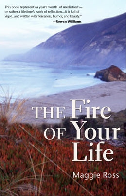 The Fire of Your Life Paperback Seabury Books