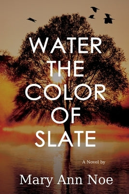 Water the Color of Slate Paperback Black Rose Writing