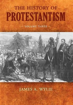 The History of Protestantism: Volume Three Paperback Solid Ground Christian Books
