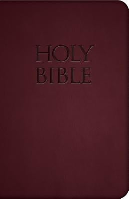 Holy Bible-Nab Bible Saint Benedict Press