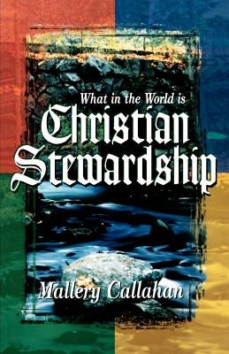 What in the World is Christian Stewardship Paperback R.H. Boyd Publishing Corporation