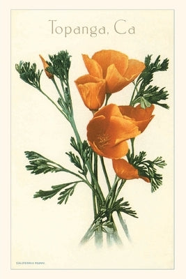 The Vintage Journal Poppies, Topanga, California Paperback Found Image Press