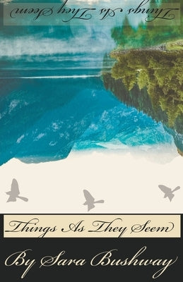 Things As They Seem Paperback Sara Bushway