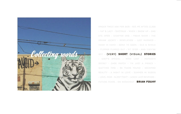Collecting Words: Short Visual Stories by Fouhy, Brian