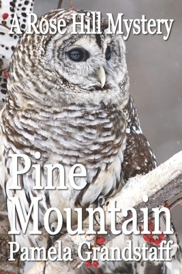 Pine Mountain Paperback Independently Published
