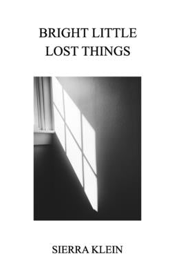 Bright Little Lost Things by Klein, Sierra