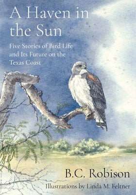 A Haven in the Sun: Five Stories of Bird Life and Its Future on the Texas Coast by Robison, B. C.