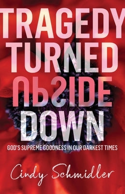 Tragedy Turned Upside Down Paperback Lucid Books