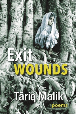 Exit Wounds Paperback Caitlin Press