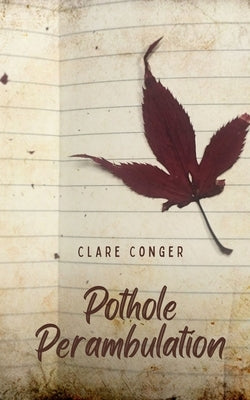 Pothole Perambulation Paperback Libresco Feeds Private Limited