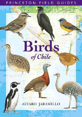 Birds of Chile by Jaramillo, Alvaro