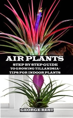 Air Plant: Step by Step Guide to Growing Tillandsia + Tips for Indoor Plants Paperback Independently Published