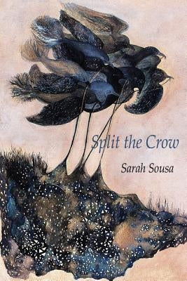 Split the Crow Paperback Parlor Press