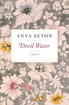 Devil Water Paperback Houghton Mifflin