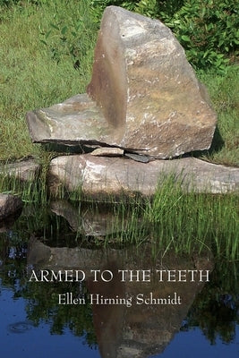 Armed to the Teeth Paperback Antrim House