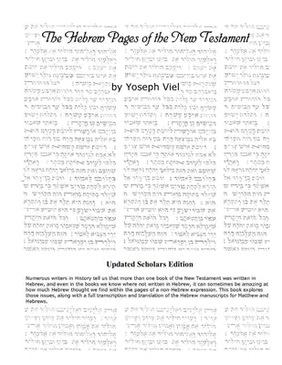 The Hebrew Pages of the New Testament by Viel, Yoseph