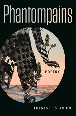 Phantompains Paperback Book*hug Press