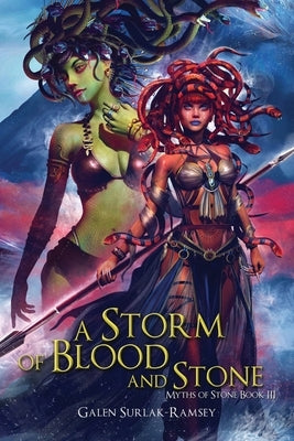 A Storm of Blood and Stone Paperback Tiny Fox Press LLC