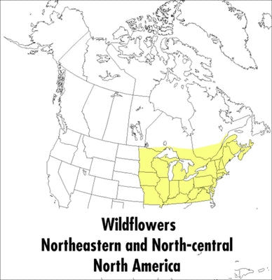 A Peterson Field Guide to Wildflowers: Northeastern and North-Central North America Paperback Mariner Books
