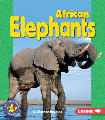 African Elephants Paperback First Avenue Editions (Tm)