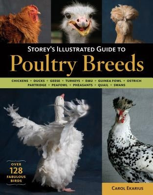 Paperback book titled Storey's Illustrated Guide to Poultry Breeds showing colorful illustrations of chickens, ducks, geese, turkeys, and more.