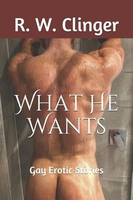 What He Wants: Gay Erotic Stories by Clinger, R. W.