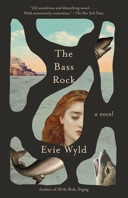 The Bass Rock by Wyld, Evie