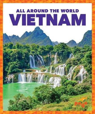 Vietnam Paperback Pogo Books
