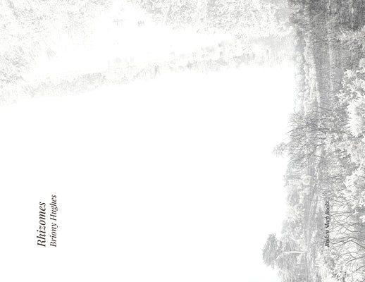 Rhizomes Paperback Broken Sleep Books