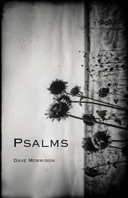 Psalms Paperback Createspace Independent Publishing Platform