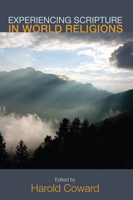 Experiencing Scripture in World Religions Paperback Wipf & Stock Publishers