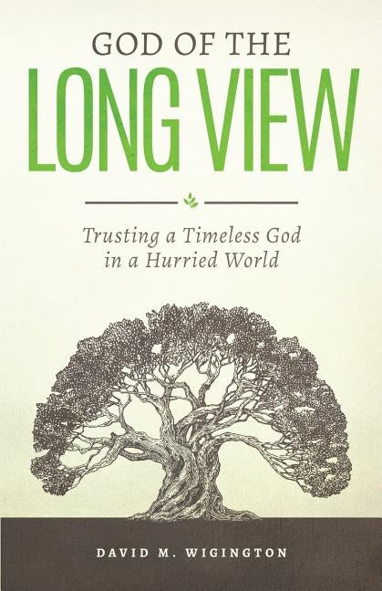 God of the Long View: Trusting a Timeless God in a Hurried World Paperback Stone Table
