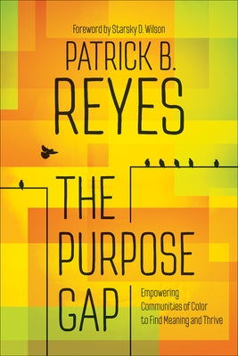 The Purpose Gap: Empowering Communities of Color to Find Meaning and Thrive Westminster John Knox Press