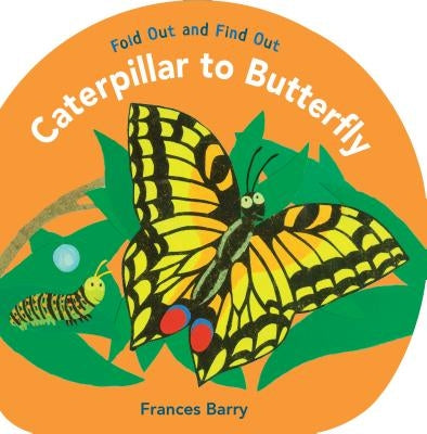 Caterpillar to Butterfly: Fold Out and Find Out by Barry, Frances