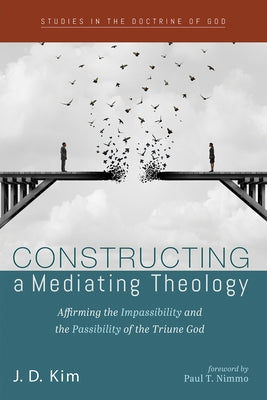 Constructing a Mediating Theology Paperback Cascade Books