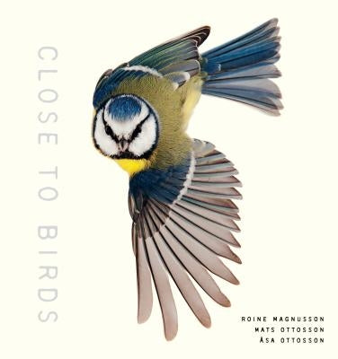 Close to Birds: An Intimate Look at Our Feathered Friends by Magnusson, Roine