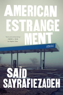 American Estrangement: Stories Paperback W. W. Norton & Company