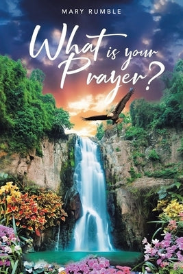 What Is Your Prayer? Paperback Brilliant Books Literary